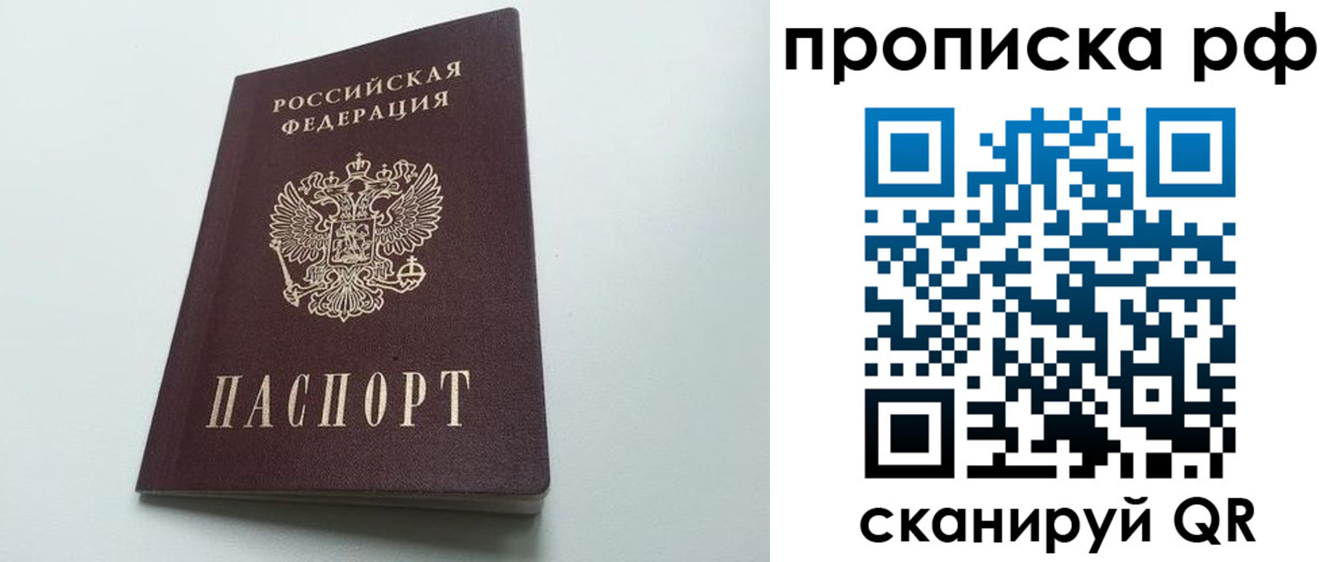 прописка в квартире в Лосино-Петровском